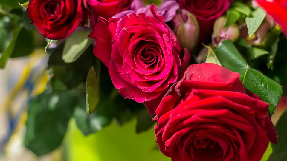 Sexdate Trier: ein Strauß roter Rosen